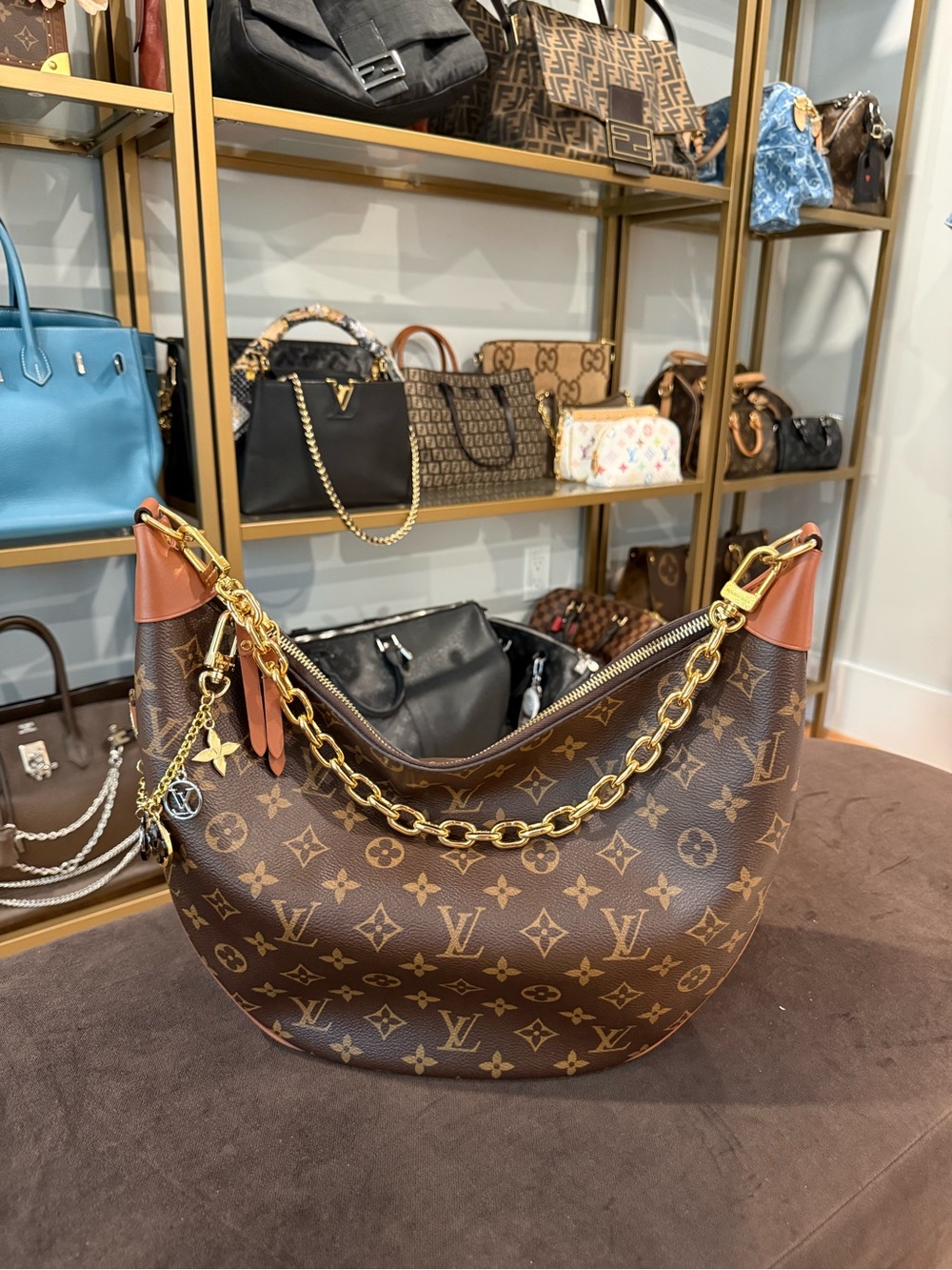 Louis Vuitton Loop Hobo Monogram Canvas - Picture 2 of 16